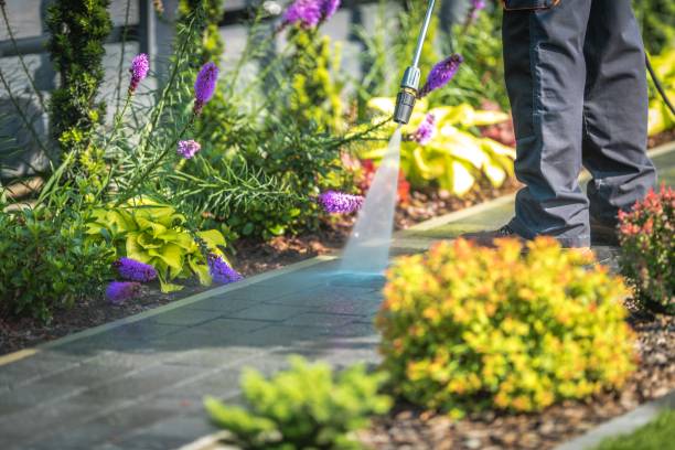 Best Patio and Deck Pressure Washing  in Temple, TX