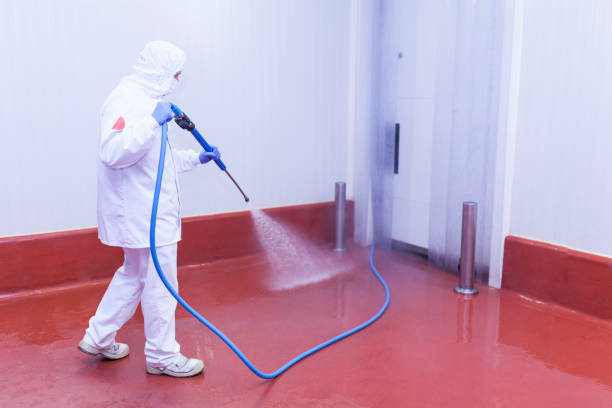 Best Graffiti Removal  in Temple, TX