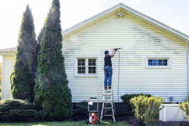 Best Dumpster Area Cleaning  in Temple, TX